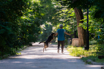 Woman walking with dog on alley in a city park