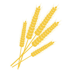 Bunch of Wheat. Vaisakhi Baisakhi design elements