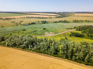 Green and yellow fields from above aerial view