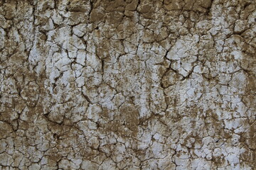 White Dirty Cracked Texture Background of Old Barn Clay Wall covered with Lime