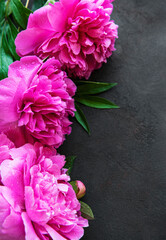 Peony flowers on a black concrete background