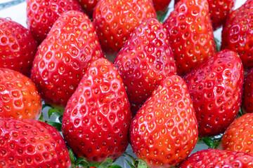 背景素材　新鮮で美味しそうな苺