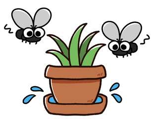植木鉢に集まるハエ