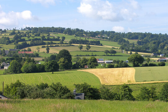 Bocage normand, paysage vallonné de la Manche