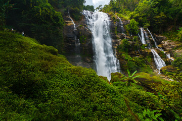 Obraz premium Waterfall in forest 