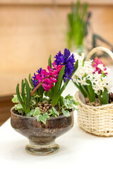 A beautiful floral arrangement in a glass vase that looks like a glass. Flower arrangement on the table. The concept of a holiday card.