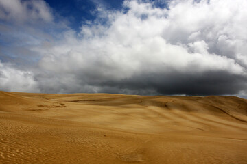 Fototapeta na wymiar Dark cloud in the sandy dunes, natural landscape background