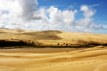 Fototapeta na wymiar Dark cloud in the sandy dunes, natural landscape background