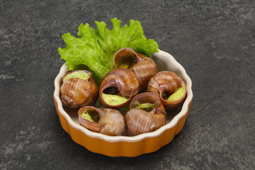 French cuisine - Escargot with sauce