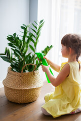 spraying the plant