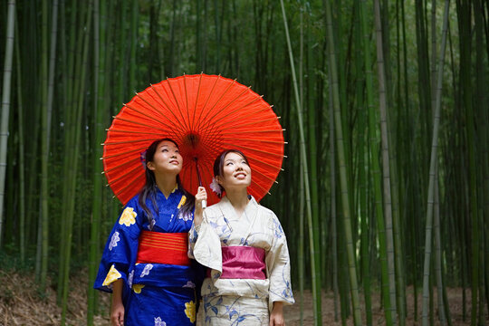 Beautiful young Japanese women in kimonos with parasol in bamboo forest
