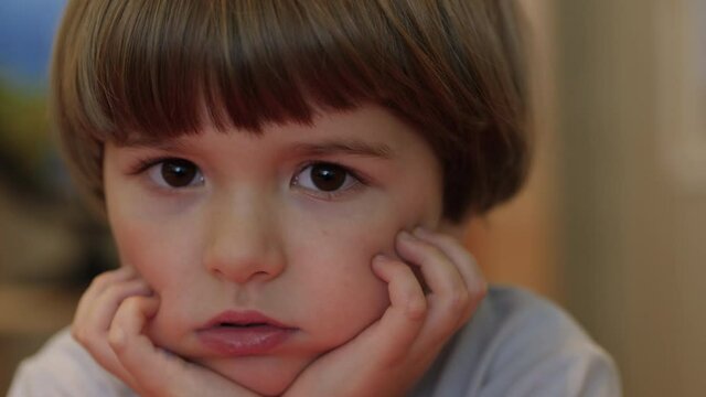 Close Up Portrait of Little Boy 4 Years Old Looking Camera. Face Portrait Closeup. Preschooler Little Kid Looking at Camera and Smiling Kindly. Cute Smart Positive friendly Small Preschooler.