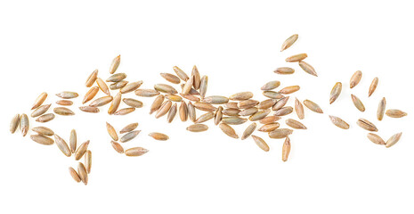 Close up of rye grains isolated on a white background, top view. Rye seeds.