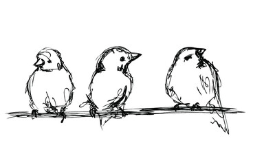 Vector ink sketch of three little birds on a branch