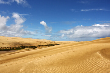 Fototapeta na wymiar Sandy dunes by the ocean, no people, blue sky, paradise valley