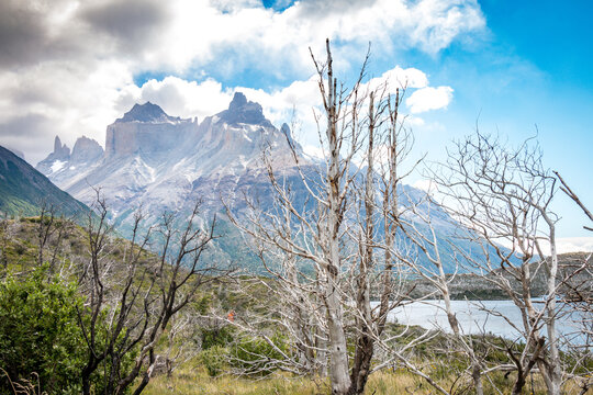 Torres del Paine National Park, Patagonia, Chile, 