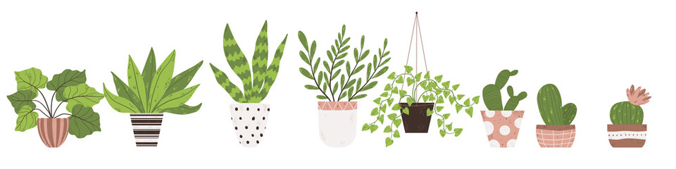 Colorful set of houseplants in pot. Vector illustrations of Indoor plants in flowerpot collection. Flowers and cactus in pot in flat cartoon style. Isolated on white background.