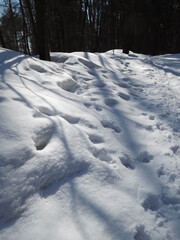 abstract background - surface of a snowdrift in the forest, texture of snow, footprints, with shadows