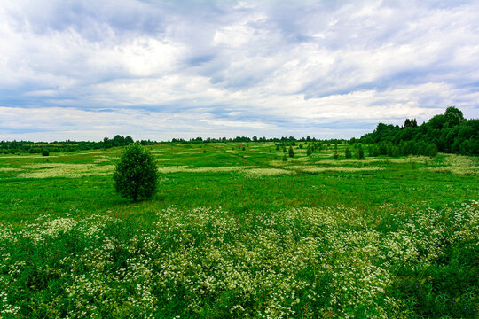 Summer landscape with cloudy sky. Field in the countryside. Russia