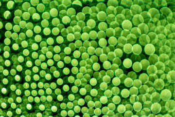 abstract green background