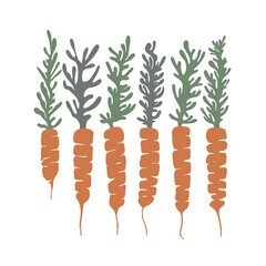 Carrot set. Vegetables is healthy food. Vitamin A. Abstract illustration. Eco-friendly. Kitchen, garden, shop. Scandinavian style