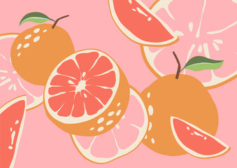 Abstract grapefruit. Pink background. Composition citrus fresh. Healthy food for vegan in modern style, colorful fruits vector set. Horizontal illustration. Border line.