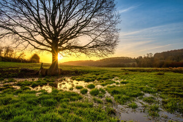 Sunrise over flooded field in River Chess Valley, Latimer near Chesham, The Chilterns AONB, England 