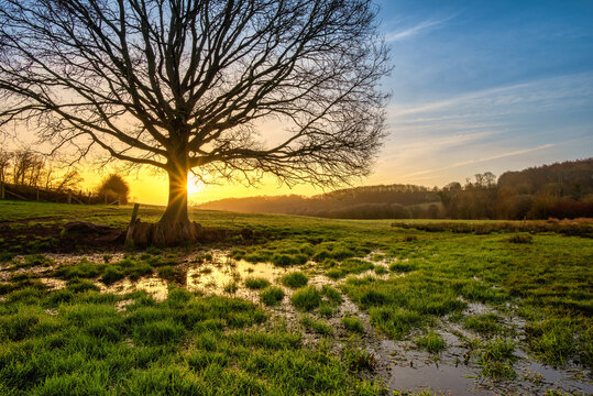 Sunrise over flooded field in River Chess Valley, Latimer near Chesham, The Chilterns AONB, England 