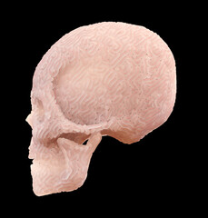 Abstract Skin Carved Skull On Black Background