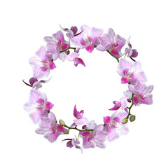 Fototapeta na wymiar Wreath of orchid flowers on a white background with space for text. Isolated wreath