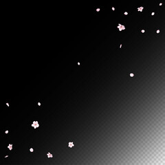 Sakura Cherry Blossom Confetti. Windy Leaves Confetti Frame. Female