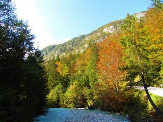 mountains above Vrata valley and Triglavska bistrica river in Gorenjska, Slovenia surrounded by a forest in autumn colors