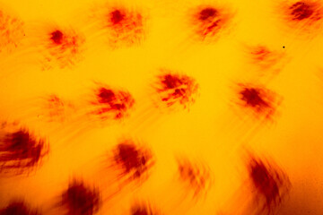 abstract orange background, blurred and indistinct traces and lines, paint texture overlay,...