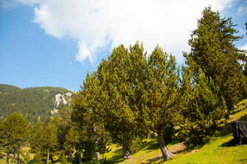 Mountains in Albania ( Gjallica Mountain 2489m)