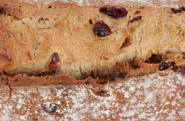 texture sport bread with nuts cereal grape and cranberry isolated on white 