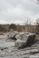 Rocks on limestone pavement