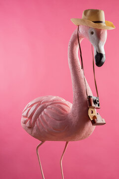 Figure of a pink flamingo tourist in a straw hat holding a camera