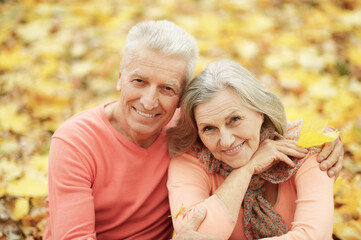 portrait of beautiful senior couple hugging in the park