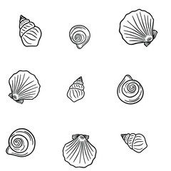Seamless vector pattern from various sea shells. Background from black and white outline seashells on a white background. Pattern for textile, print, poster, menu.
