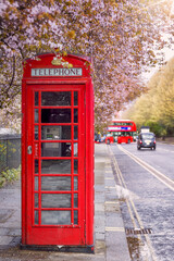A traditional, red telephone booth under a tree in full spring blossom with blurred street traffic in London, United Kingdom