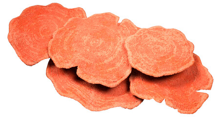 3D Rendering Coral on White © photosvac