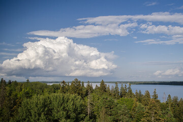 Beautiful view from the watching tower with Aluksne lake and tree tops. Aluksne, Latvia.