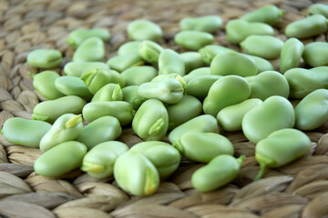 Fresh and organic raw fava, broad beans