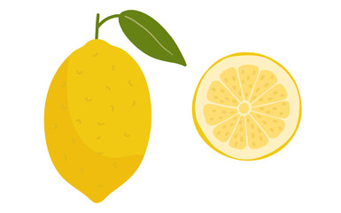 Lemon and half of it, slice. Isolated element, object on a white background. Ripe useful. Organic, eco. Drawn by hands. Healthy natural food, vitamins