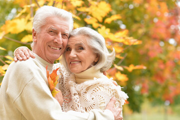 portrait of beautiful senior couple in the park