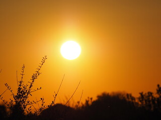atardecer naranja sobre el lago de ivars y vila sana, lérida, españa, europa