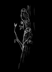 Two owls sitting on a tree, drawn in white on a black background