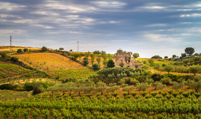 Fototapeta na wymiar Beautiful Sicilian Landscape, Mazzarino, Caltanissetta, Italy, Europe