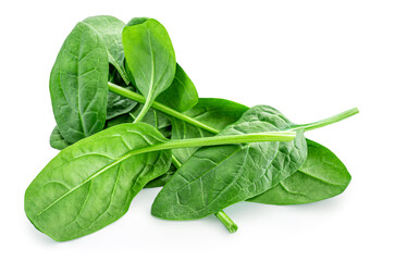 Spinach leaves isolated on white background. Various Spinach leaf