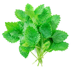 Fresh raw mint leaves isolated on white background. Close-up. Top view. Pile of melissa.